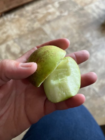 369962769_6199301476863179_2737781305723159486_n