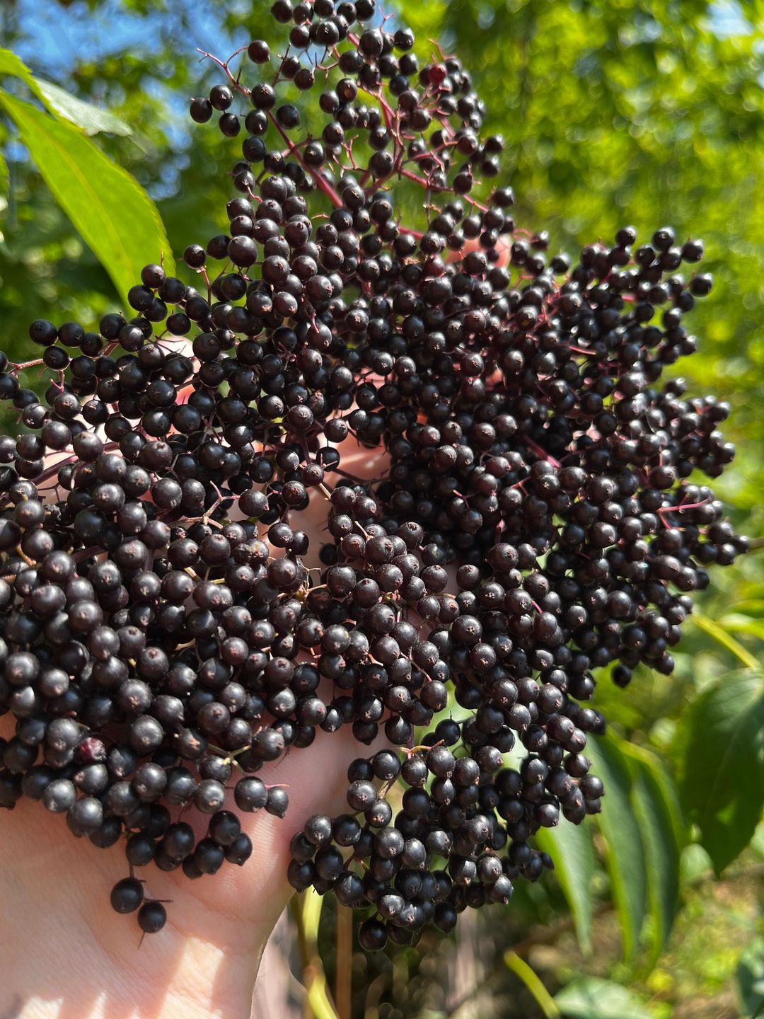 370685930_6224806994312627_5841593025488236516_n