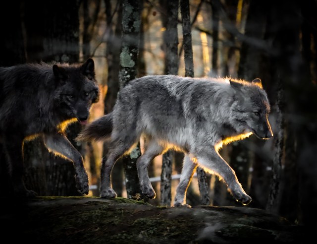 377153302_652758537010802_7971437000311689816_n