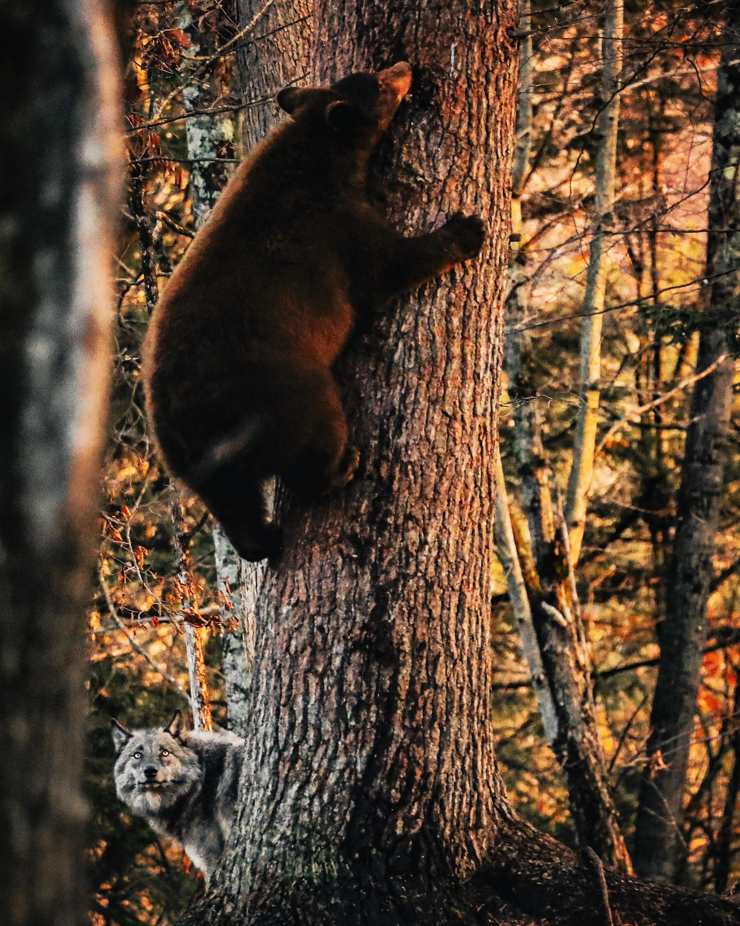 380370476_639179078385713_8037992551593741659_n