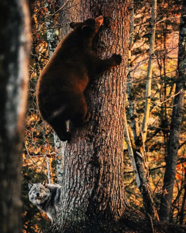 380370476_639179078385713_8037992551593741659_n