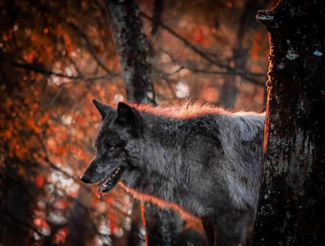 380390816_268087796234609_2043310789952551430_n