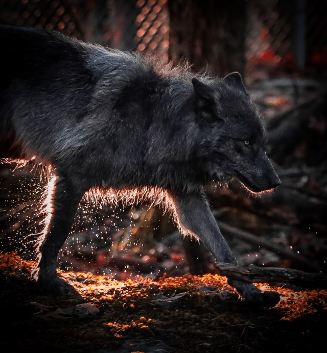 385526613_354113937013181_3176971288628126640_n